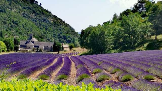 法國普羅旺斯+艾克斯主教座堂+圓亭噴泉一日遊