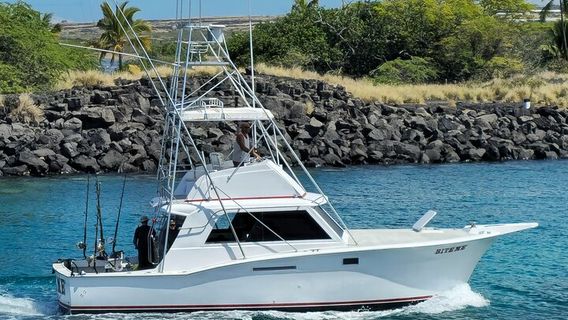 The Big Island (Hawaii island)Tours