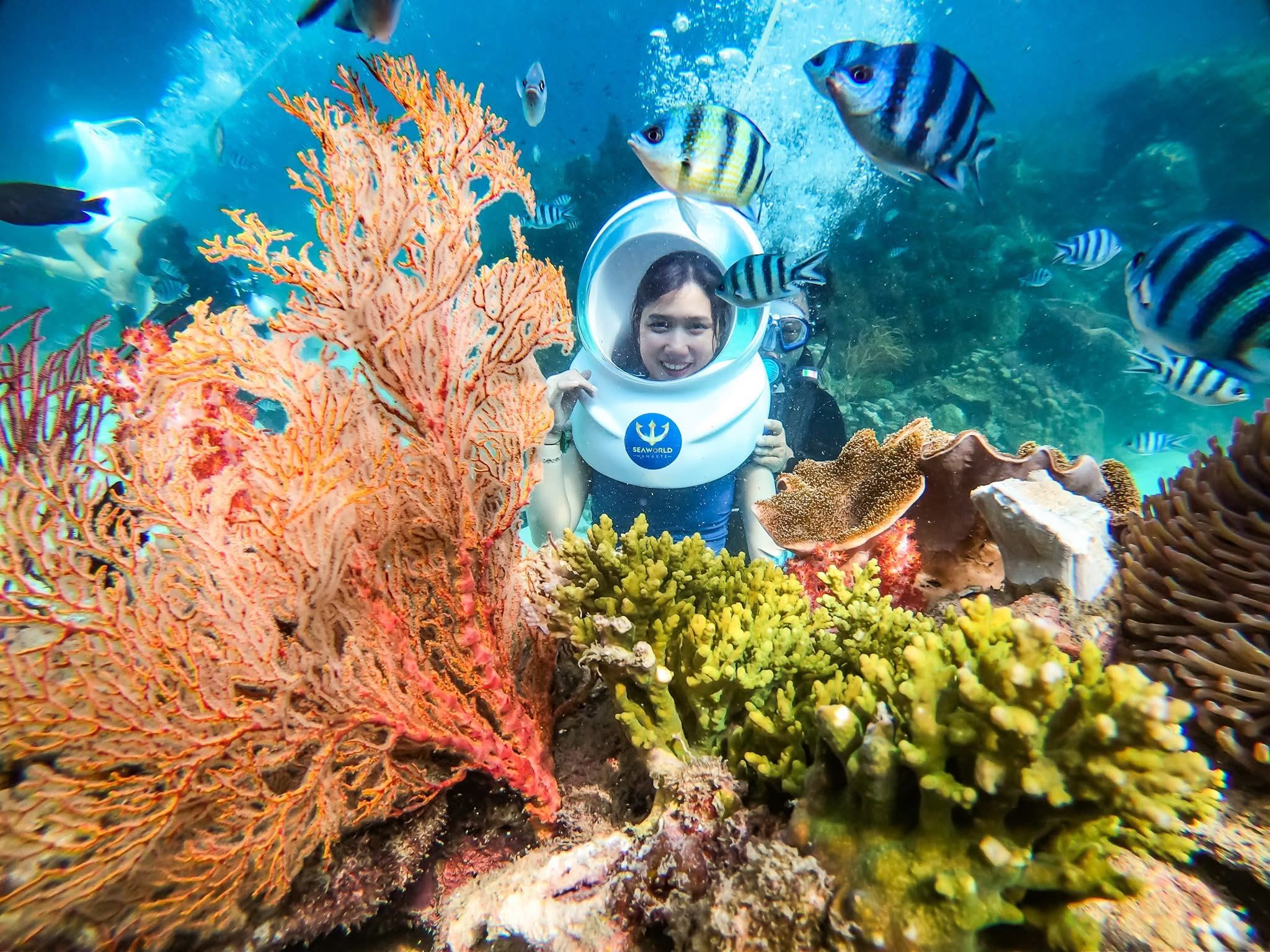 Excursión de un día en lancha por tres islas de Phu Quoc + caminata submarina: Snorkel en el Parque de Coral + paseo en lancha + almuerzo