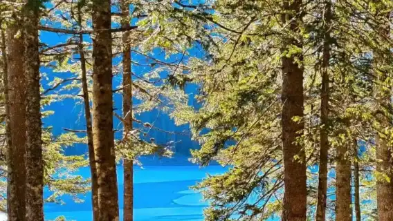 Podgorica + Durmitor National Park + Tara River Canyon + Tara River Bridge