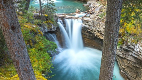 カルガリー/バンフ国立公園往復 バンフ国立公園深層日帰りツアー【夏季行程】