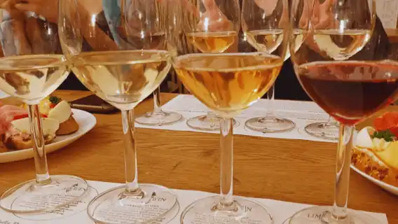 Small Carpathian Route Wines Tasting Tour in Bratislava City Center