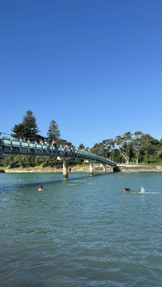 Auckland join-in tour 1-day tour: Honey center + Sheepworld Farm & Café + city [English tour]