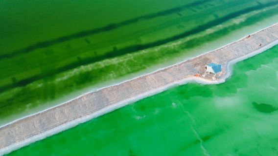察爾汗鹽湖半日遊【包車團】