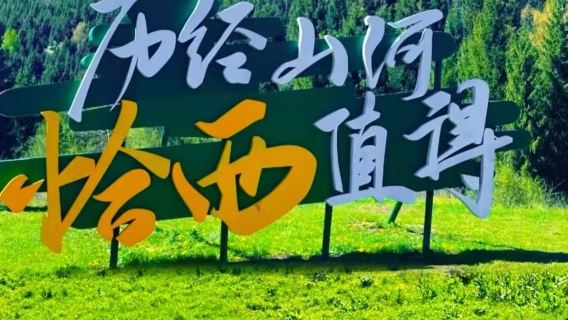鞏留日遊
