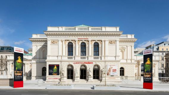 Albertina Modern: Entry Ticket + Audio Guide