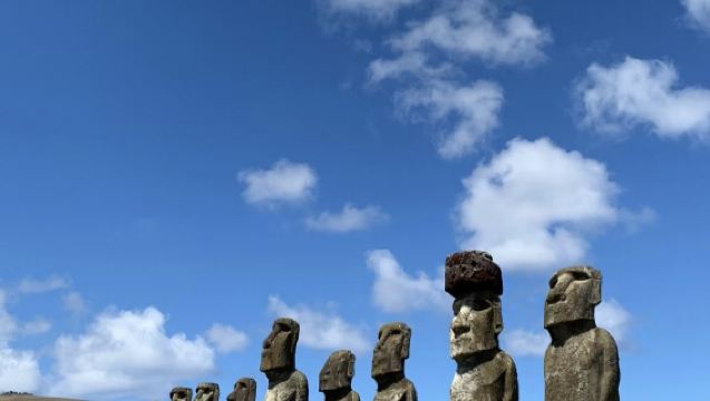 Chile + Santiago: Pengangkutan dari Lapangan Terbang ke Hotel | Sewaan Peribadi dalam Bahasa Cina | Boleh Disesuaikan | Penterjemahan