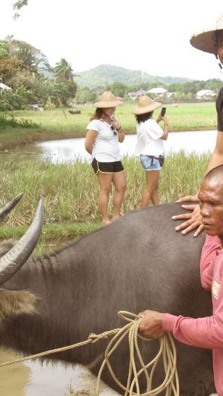 Motag Living Museum Tour with ATV and Zipline Experience