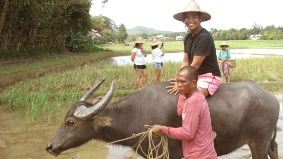 Tour del Museo Vivente di Motag con esperienza in ATV e teleferica