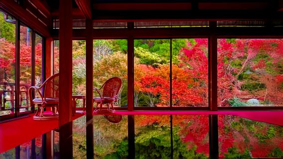 Kyushu autumn foliage limited day tour: Dazaifu, Kunean Temple, Mifuneyama Rakuen, Yutoku Inari Shrine