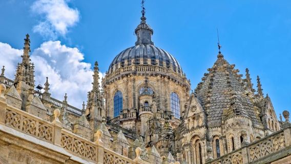 Luxury Salamanca & Iberian Ham Tour from Madrid