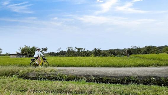 Bali: Tur Sepeda Listrik Melalui Teras Sawah