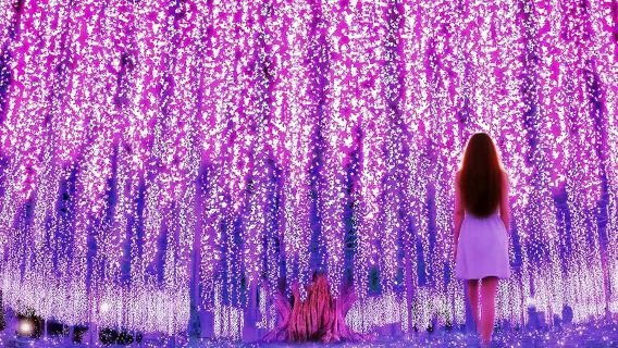 Tagesausflug zur Ashikaga Flower Park Lichtshow, Hitachi Seaside Park und Sakatsura Isozaki Schrein inklusive Eintrittskarten