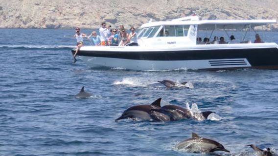 Muscat: tour in barca per l'osservazione dei delfini