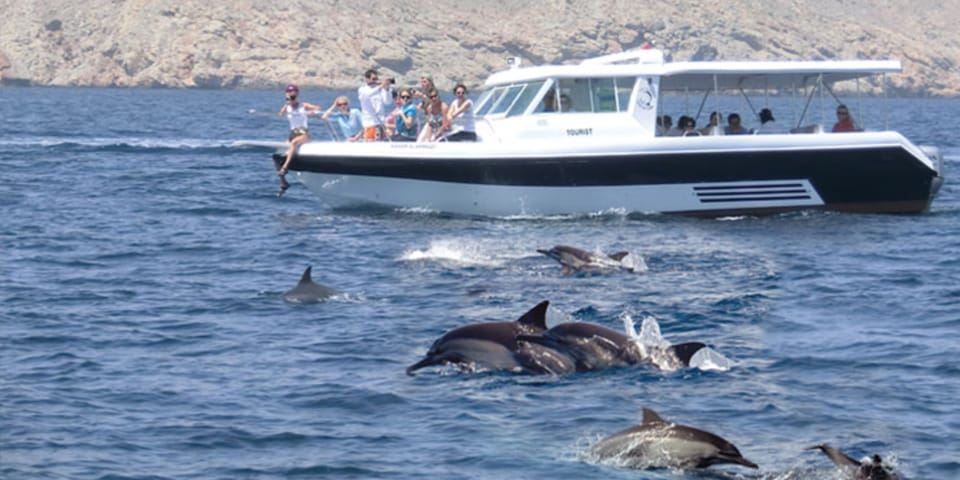 Muscat: Dolphin Watching Boat Tour