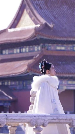 Forbidden City Ticket with Optional Guide 