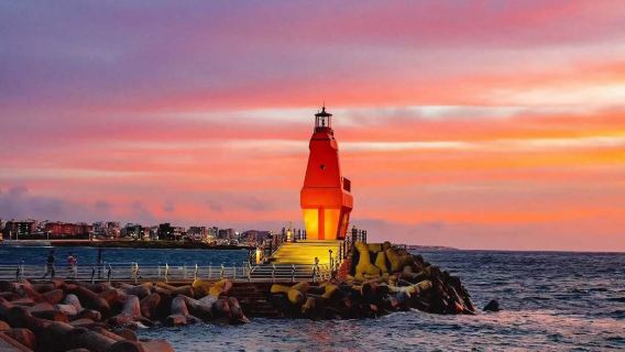 5-14位純玩精品小團|豪華全景線|濟州島東線一日遊|上門接