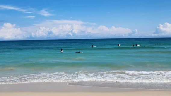 濟州島郵輪上島一日遊｜郵輪專屬｜西歸浦港出發｜精品小團