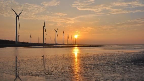 Tour di un giorno di 8 ore a Taichung, Lago Sun Moon e Wetland di Gaomei: itinerario personalizzato (partenza da Taichung)