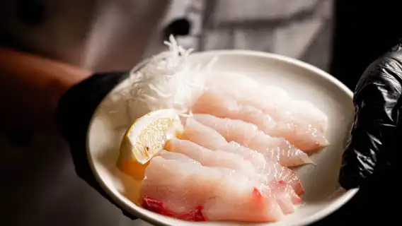 JW Marriott Hotel Shenzhen (Buffet Lunch/Buffet Dinner)