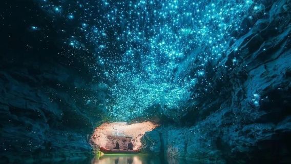 紐西蘭奧克蘭周邊比特村 + 懷託摩螢火蟲洞-包車-精選行程
