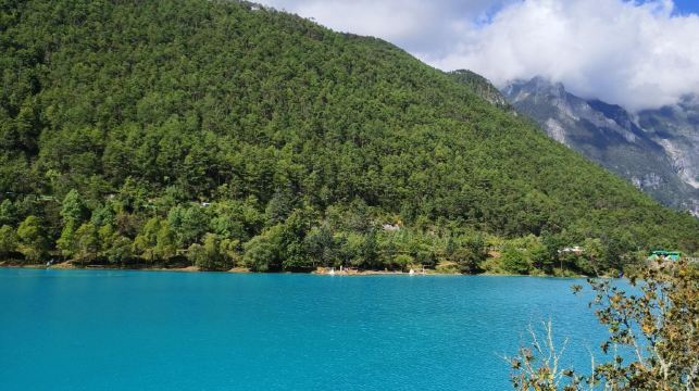 麗江玉龍雪山雲杉坪+藍月谷日照金山一日遊{2-8人小團}