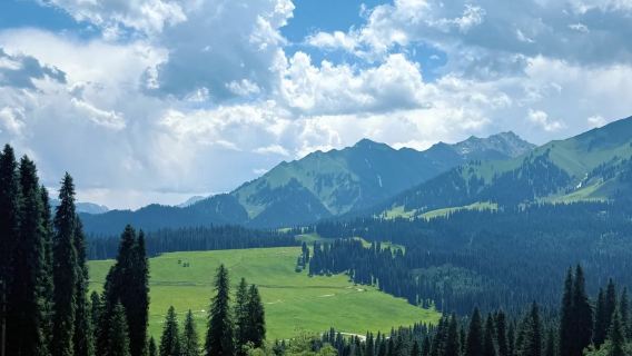 【新疆伊犁輕徒步·天山美麗綠谷】庫爾德寧草原一日包車純玩遊