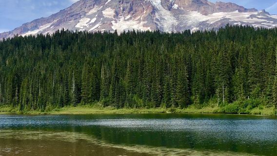 Tour giornaliero per piccoli gruppi al Parco Nazionale del Monte Rainier da Seattle 2CanGo