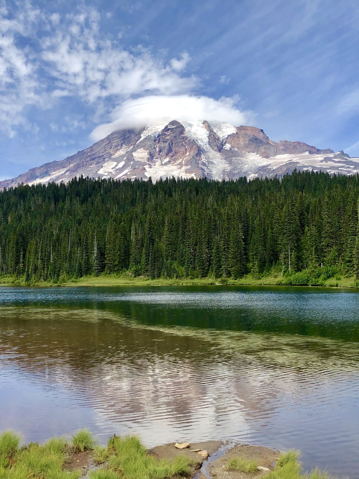 Tour giornaliero per piccoli gruppi al Parco Nazionale del Monte Rainier da Seattle 2CanGo