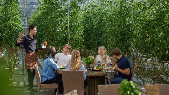 Reykjavík: Circolo d'Oro, Laguna Laugaras e Fridheimar