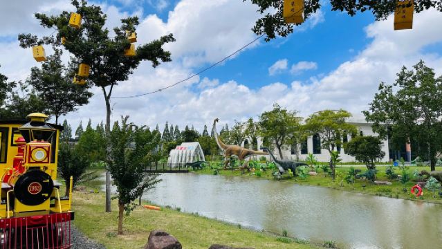 Excursión de un día al pueblo antiguo de Xitang y al pueblo de chocolate Feodora en Jiaxing, Zhejiang, con servicio en chino e inglés