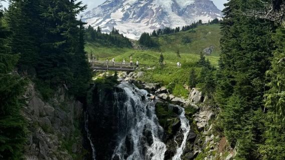 Round-trip from Seattle to Mount Rainier National Park/Customizable itinerary/Instant discount for inquiries