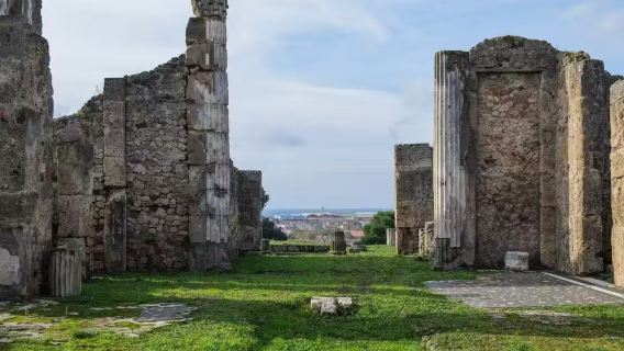 義大利那不勒斯龐貝古城+維蘇威火山之旅