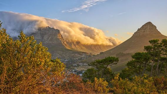 Nam Phi - Toàn quốc | Phiên dịch đi cùng | Hướng dẫn viên du lịch tại chỗ | Hội chợ triển lãm | Khảo sát kinh doanh | Dịch vụ đón tiếp tại địa phương | (Có thể tùy chỉnh theo yêu cầu cá nhân)