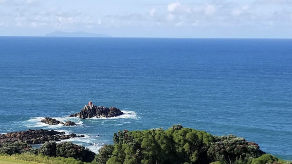 New Zealand Auckland & Rotorua & Lake Taupo Customizable Tour [Chinese-Speaking Private Car - Comfortable & Relaxing]