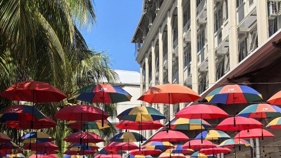 Mauritius Blaue Bucht + Krokodilpark + Île aux Cerfs + Unterwasserwasserfall + Naturbrücke [Tagesausflug]