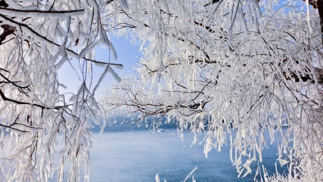 [Changchun Departure · Jilin Day Tour] | Ice Fishing at Songhua Lake, Admire Rime and Winter Fishing, Taste Lake Fish