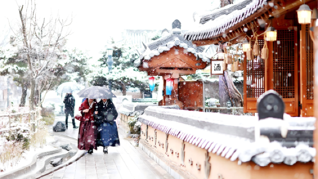 [Royal Cherry Blossoms / Autumn Leaves / Snow Scenery] Jeonju Hanok Village + Datun Mountain Tour