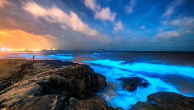 Lawatan sehari ke Pulau Pingtan + Ladang Kincir Angin Changjiang'ao + Kampung Beigang + Pulau Houyan + Pantai Tannan [Tiada beli-belah]