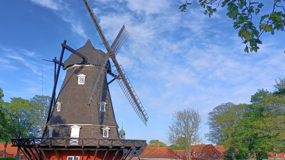 丹麥哥本哈根-新港-路易斯安娜博物館【中文包車自由行】