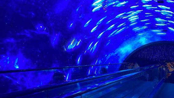Grandview Polar Ocean World + Djuphavsunderverk/Valviskningar/Oceanteater