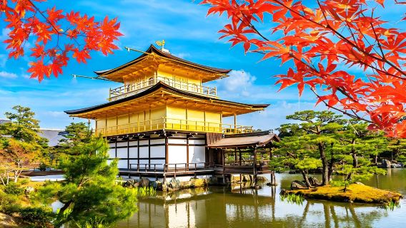 1-day in-depth Kyoto tour: Kinkaku-ji + Fushimi Inari Taisha + Ninenzaka/Sannenzaka - explore thousand-year-old temples