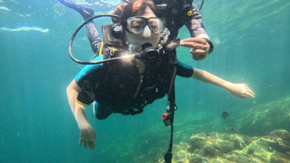 VietnamPhu QuocVietnam explorer dive centerDécouvrez la plongéeplongée sous-marine7 heures
