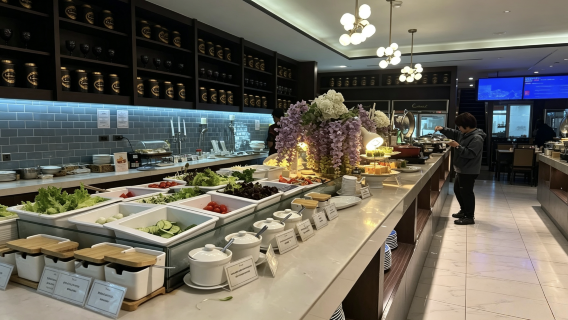 泰國曼谷廊曼國際機場VIP廳使用券/DMK貴賓廳休息室使用券 候機/餐飲/洗浴/過夜