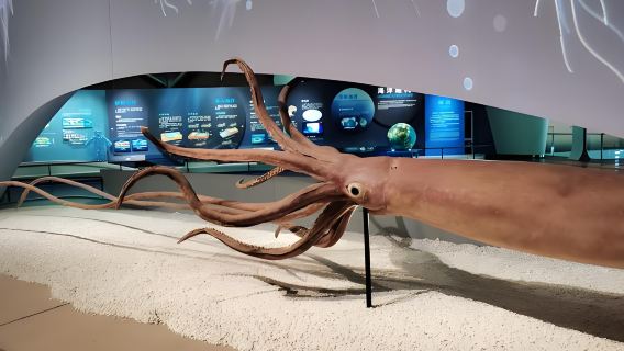 Tianjin TEDA aircraft carrier park National Maritime Museum of China private guided day tour