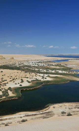 エジプト ファイユーム オアシス ワンデーツアー【カールーン湖＋隕石地形の谷＋ワディ・アル・ヒタン博物館など】