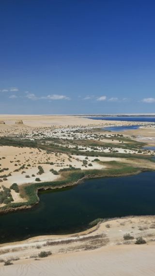 エジプト ファイユーム オアシス ワンデーツアー【カールーン湖＋隕石地形の谷＋ワディ・アル・ヒタン博物館など】