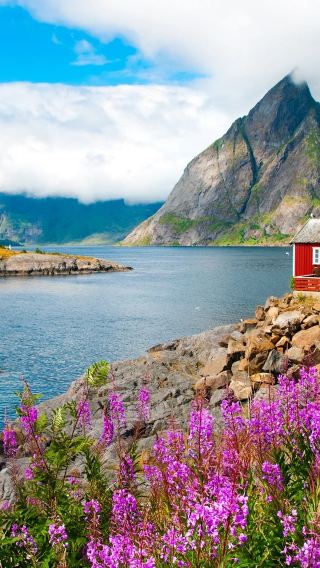 Lofoten islands Reine photography small group | Visit Reine fishing village + Hamnøy + Nusfjord