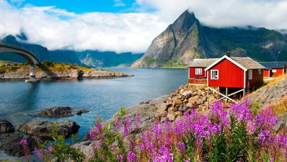 Pequeno grupo fotográfico em Reine, Ilhas Lofoten, Noruega | Visita à vila de pescadores de Reine + Hamnøy + Fiorde de Nusfjord