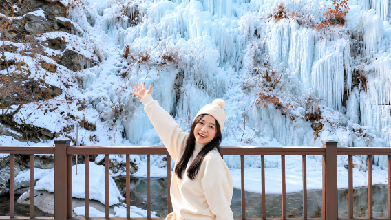 Winter-exclusive|Eobi Valley Glacier X Fresh Strawberry Picking X Nami Island X Garden of Morning Calm Lighting Festival